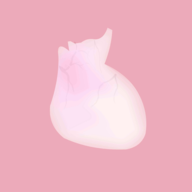 澳门新银河官方网站生命汉化版下载安装-澳门新银河官方网站生命汉化版游戏下载v1.0